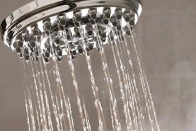 Shower Head Repair